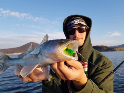 Силиконов риболов